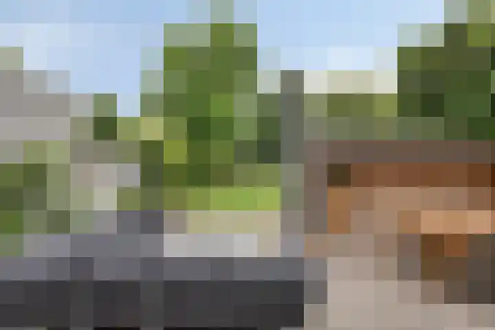 Groenling 19 Boxmeer thumbnail 24