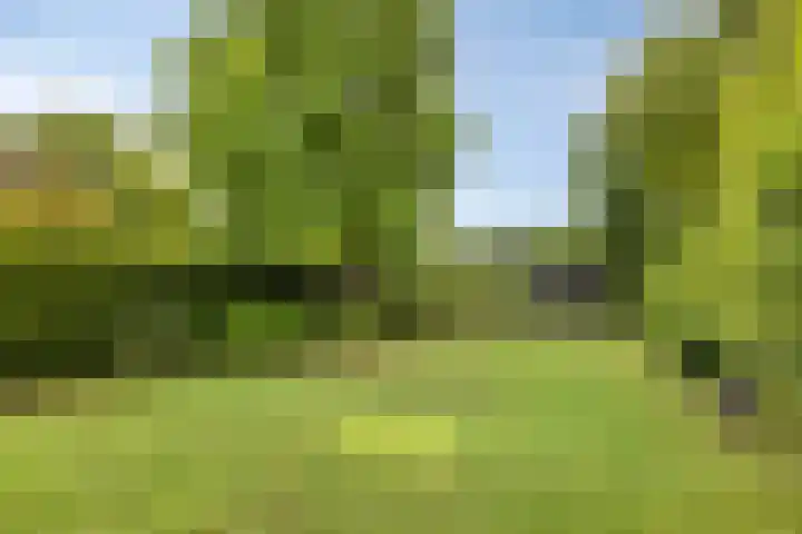 Groenling 19 Boxmeer thumbnail 28