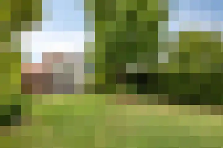Groenling 19 Boxmeer thumbnail 29