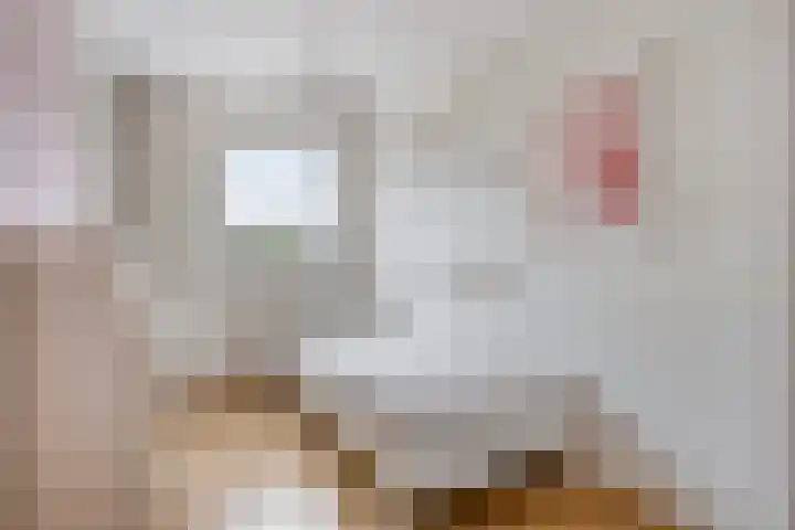 Groenling 19 Boxmeer thumbnail 40