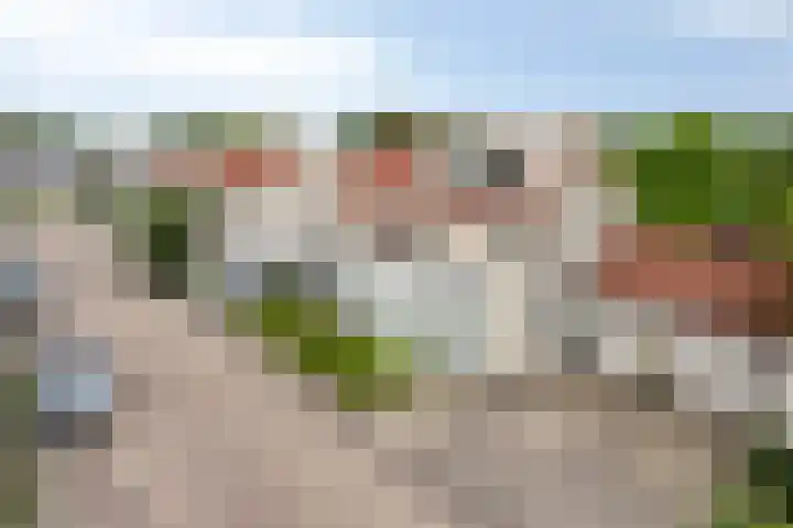 Groenling 19 Boxmeer thumbnail 6