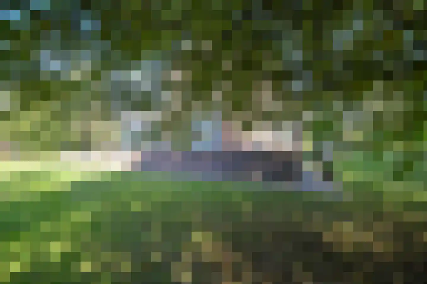Groenling 19 Ouderkerk aan de Amstel thumbnail 4