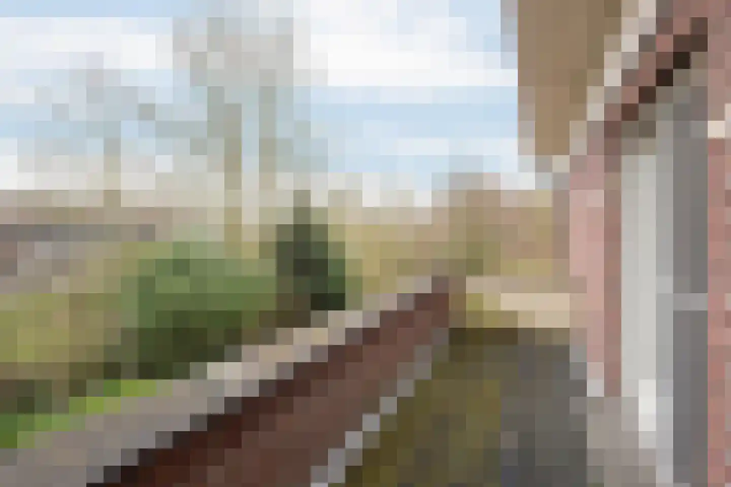 Groenling 19 Ouderkerk aan de Amstel thumbnail 47