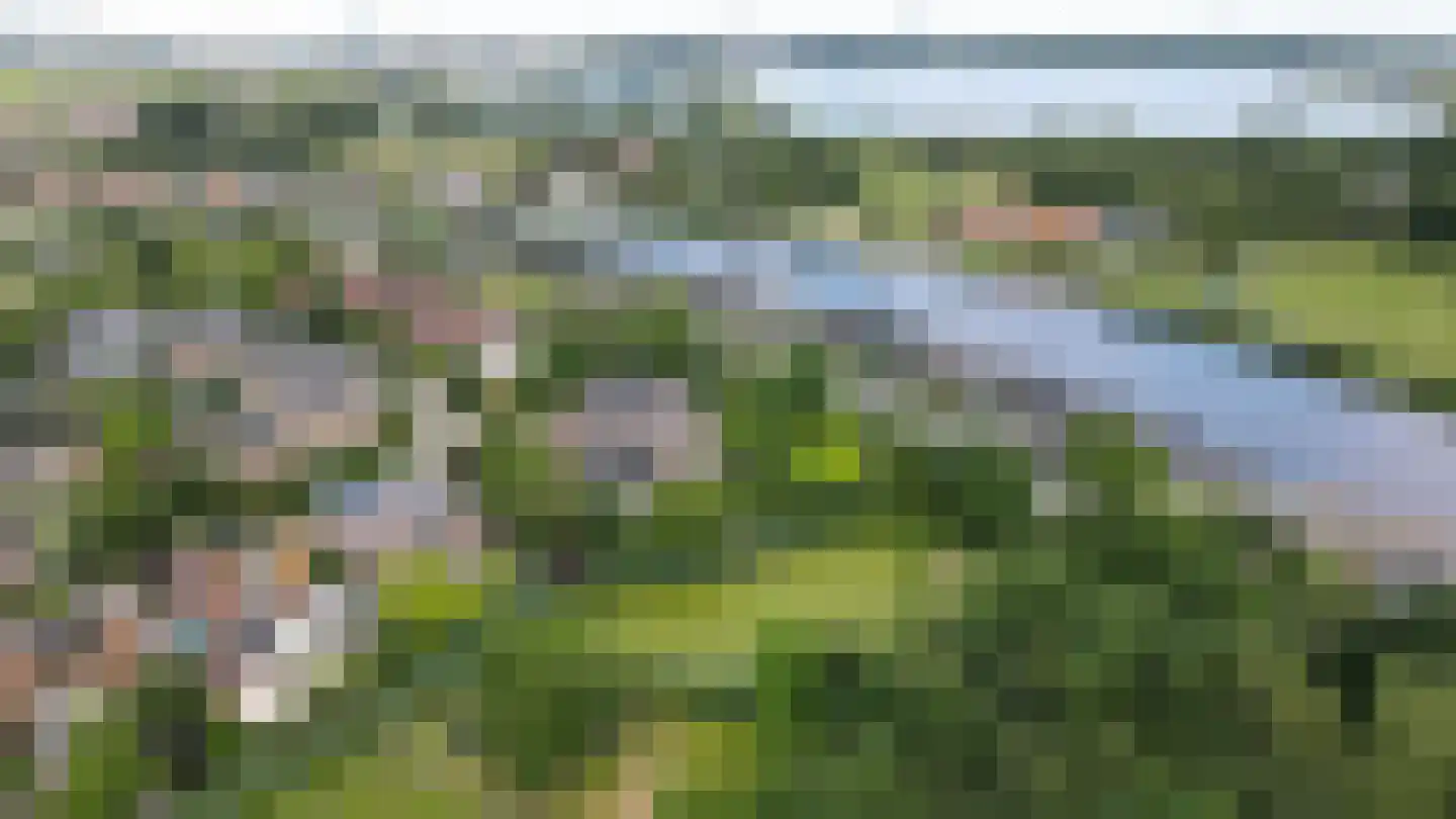 Groenling 19 Ouderkerk aan de Amstel thumbnail 5