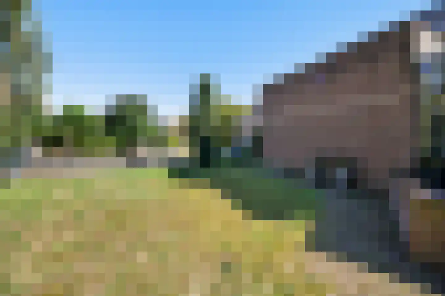Groenling 19 Ouderkerk aan de Amstel thumbnail 60