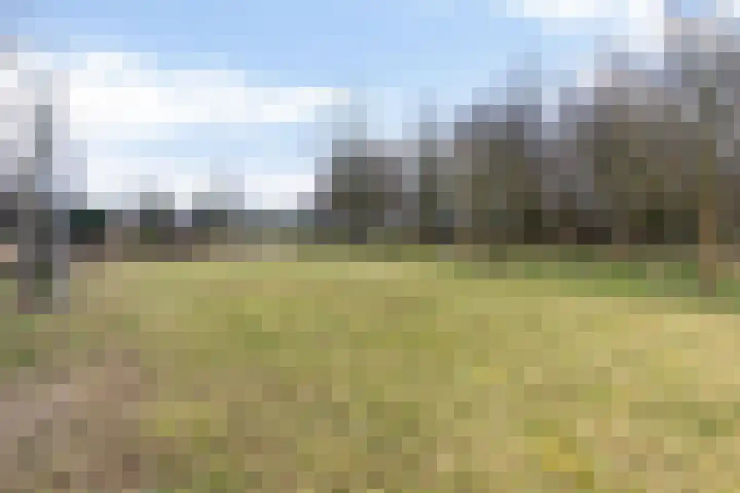 Groenling 19 Ouderkerk aan de Amstel thumbnail 62