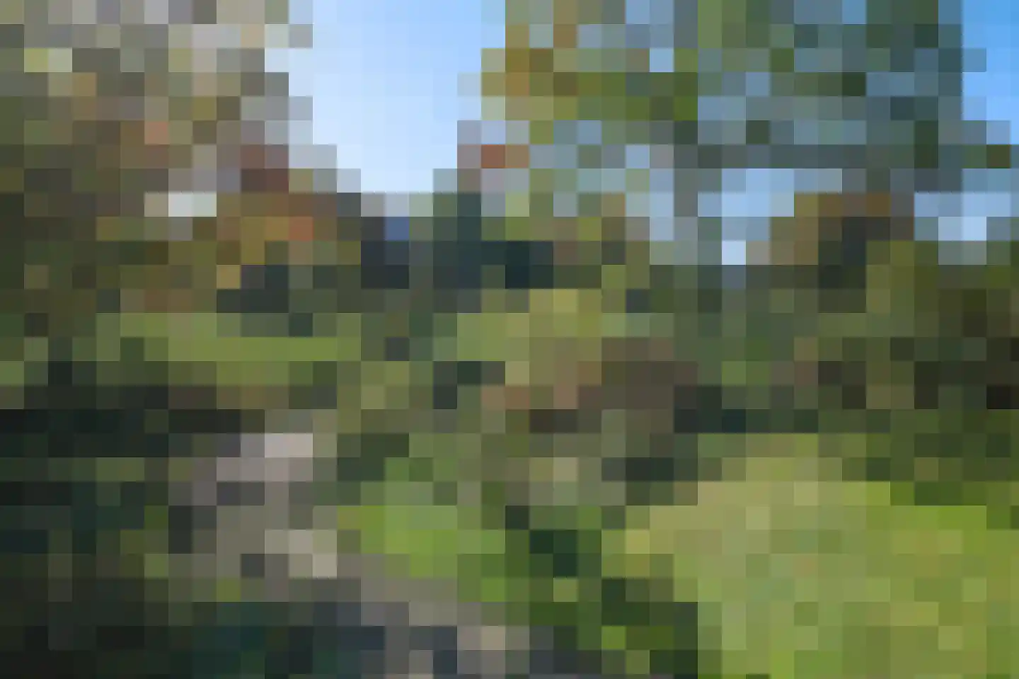 Groenling 19 Ouderkerk aan de Amstel thumbnail 63