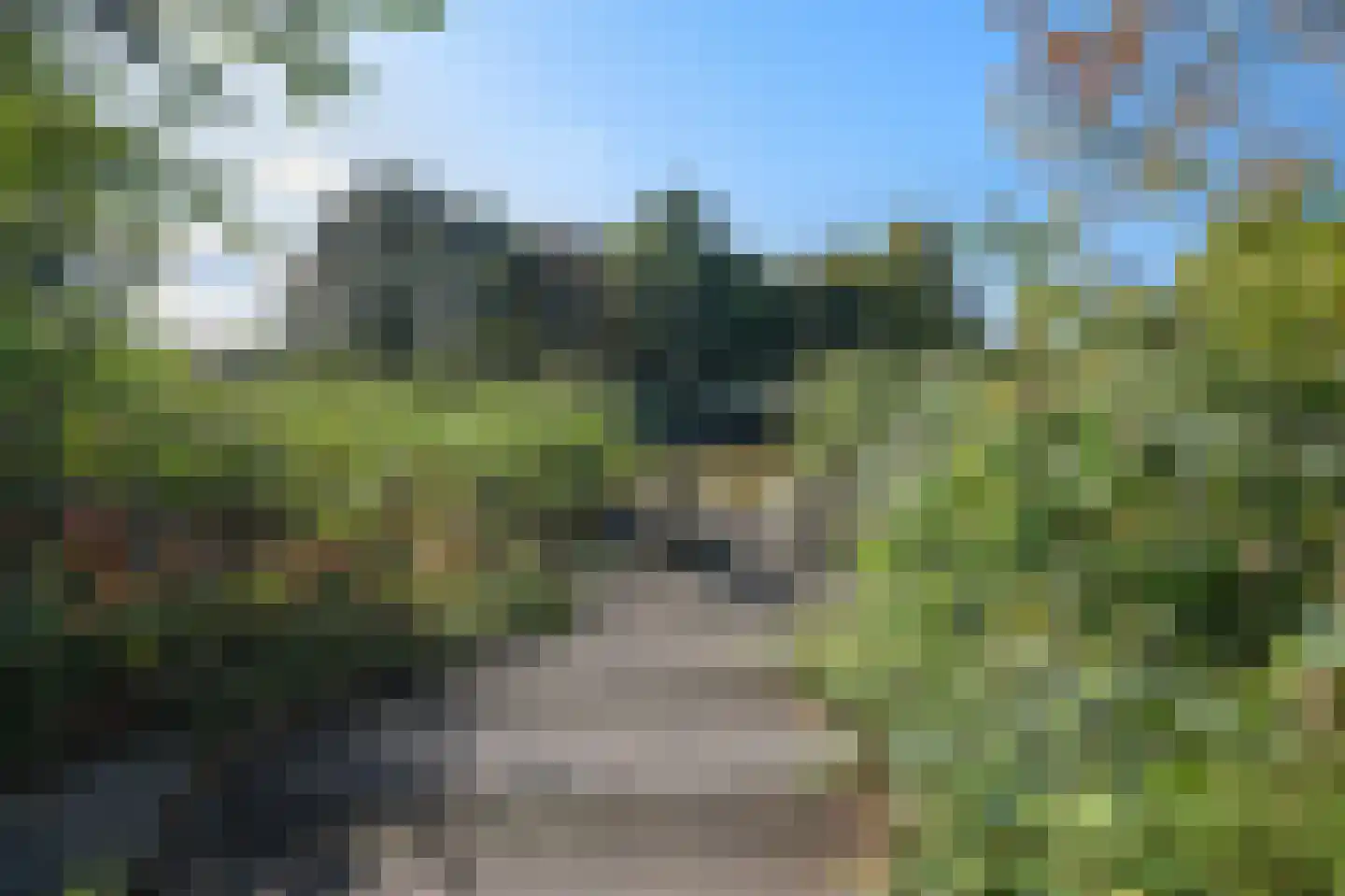 Groenling 19 Ouderkerk aan de Amstel thumbnail 64