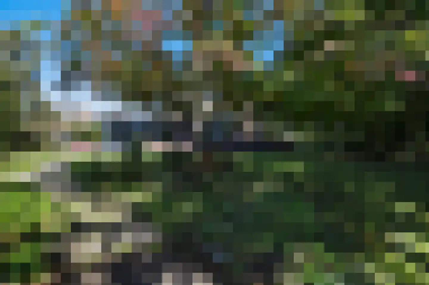 Groenling 19 Ouderkerk aan de Amstel thumbnail 65