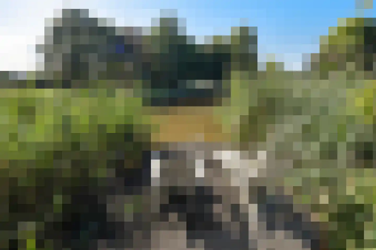 Groenling 19 Ouderkerk aan de Amstel thumbnail 66