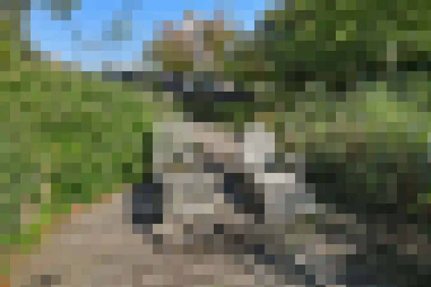 Groenling 19 Ouderkerk aan de Amstel thumbnail 68