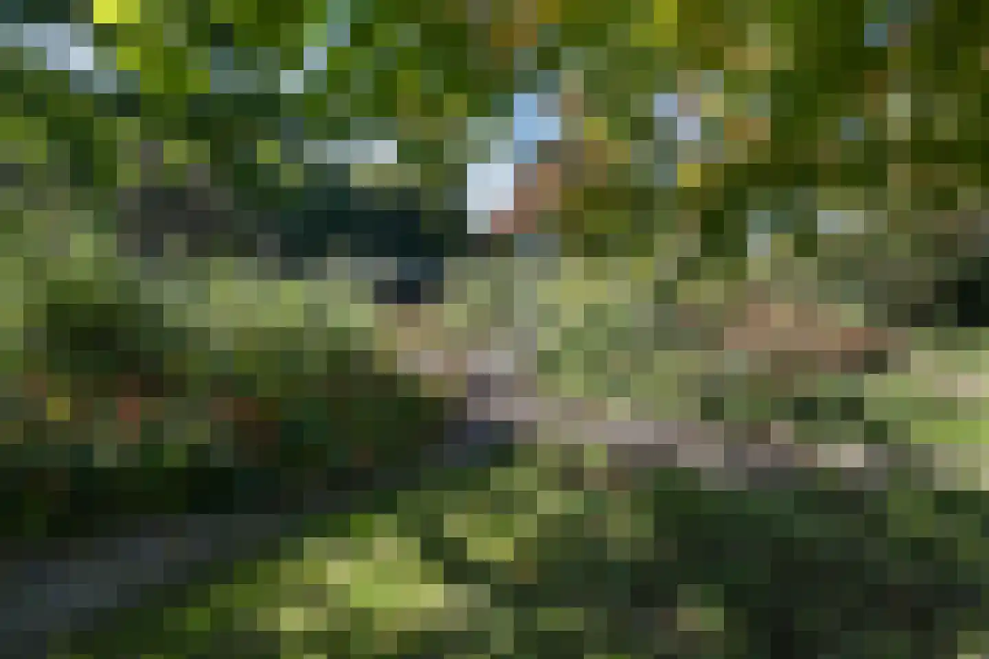Groenling 19 Ouderkerk aan de Amstel thumbnail 69