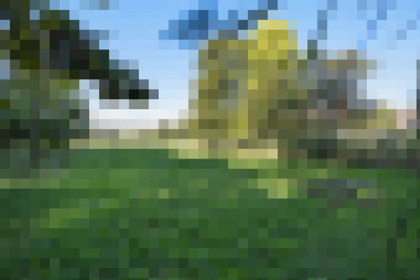 Groenling 19 Ouderkerk aan de Amstel thumbnail 74