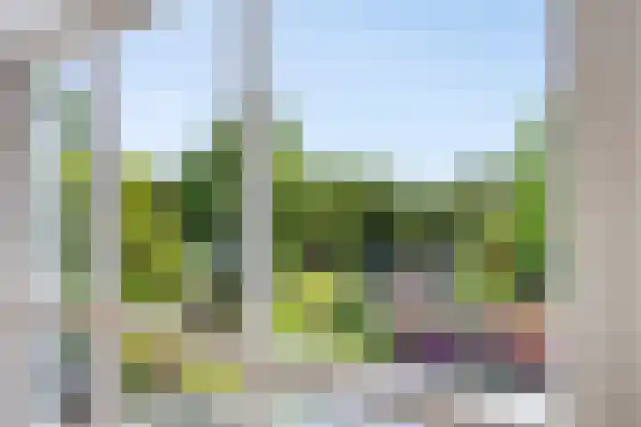 Groenling 21 Boxmeer thumbnail 24