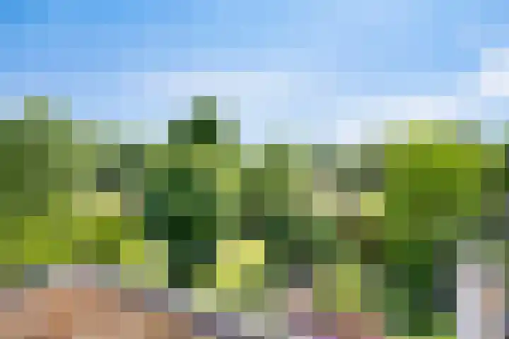 Groenling 21 Boxmeer thumbnail 31