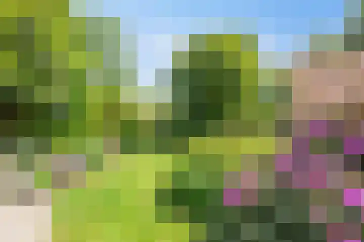 Groenling 21 Boxmeer thumbnail 35