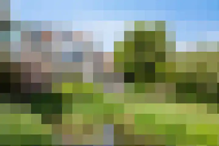 Groenling 21 Boxmeer thumbnail 38