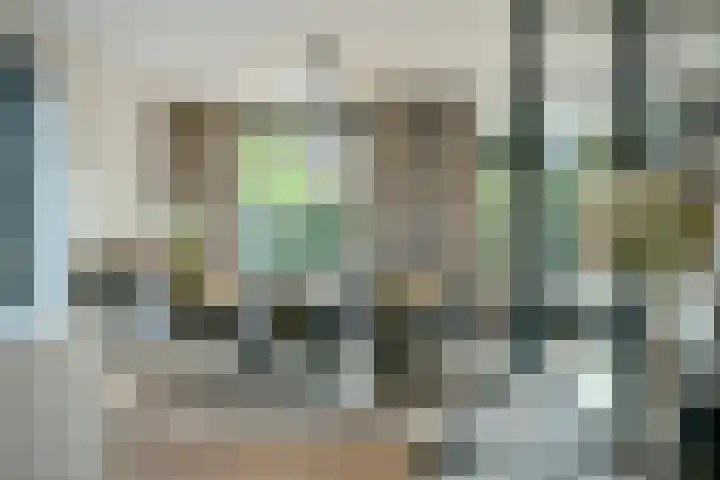 Groenling 22 Ouderkerk aan de Amstel thumbnail 12