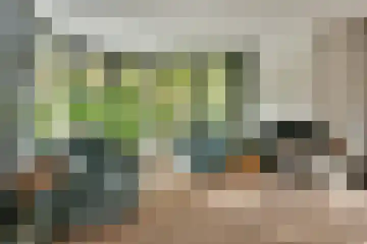 Groenling 22 Ouderkerk aan de Amstel thumbnail 15