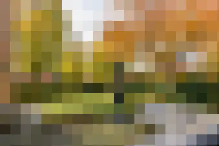 Groenling 22 Ouderkerk aan de Amstel thumbnail 19