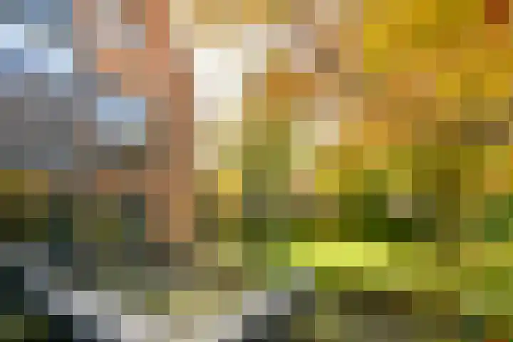Groenling 22 Ouderkerk aan de Amstel thumbnail 20