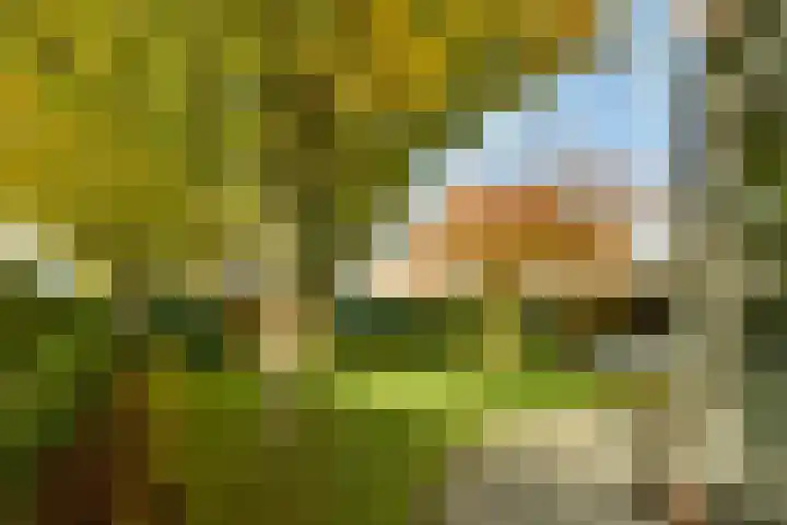 Groenling 22 Ouderkerk aan de Amstel thumbnail 21