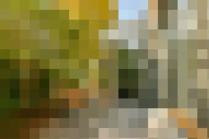 Groenling 22 Ouderkerk aan de Amstel thumbnail 22