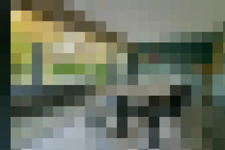 Groenling 22 Ouderkerk aan de Amstel thumbnail 25
