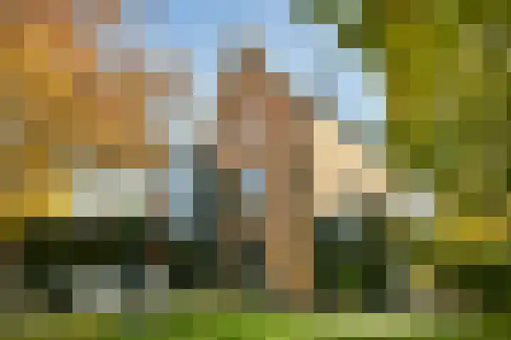 Groenling 22 Ouderkerk aan de Amstel thumbnail 46