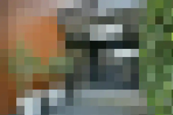 Groenling 22 Ouderkerk aan de Amstel thumbnail 5