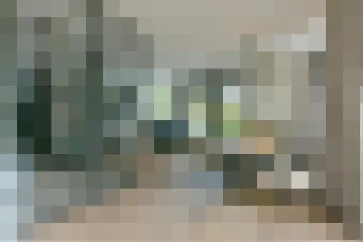 Groenling 22 Ouderkerk aan de Amstel thumbnail 8