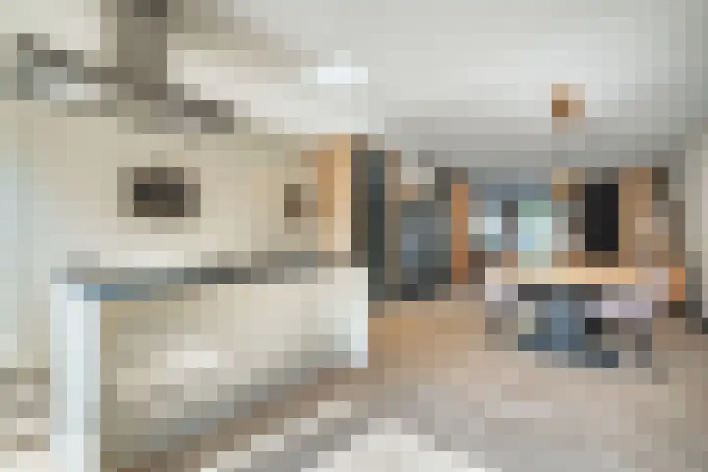 Groenling 27 Nieuwegein thumbnail 15