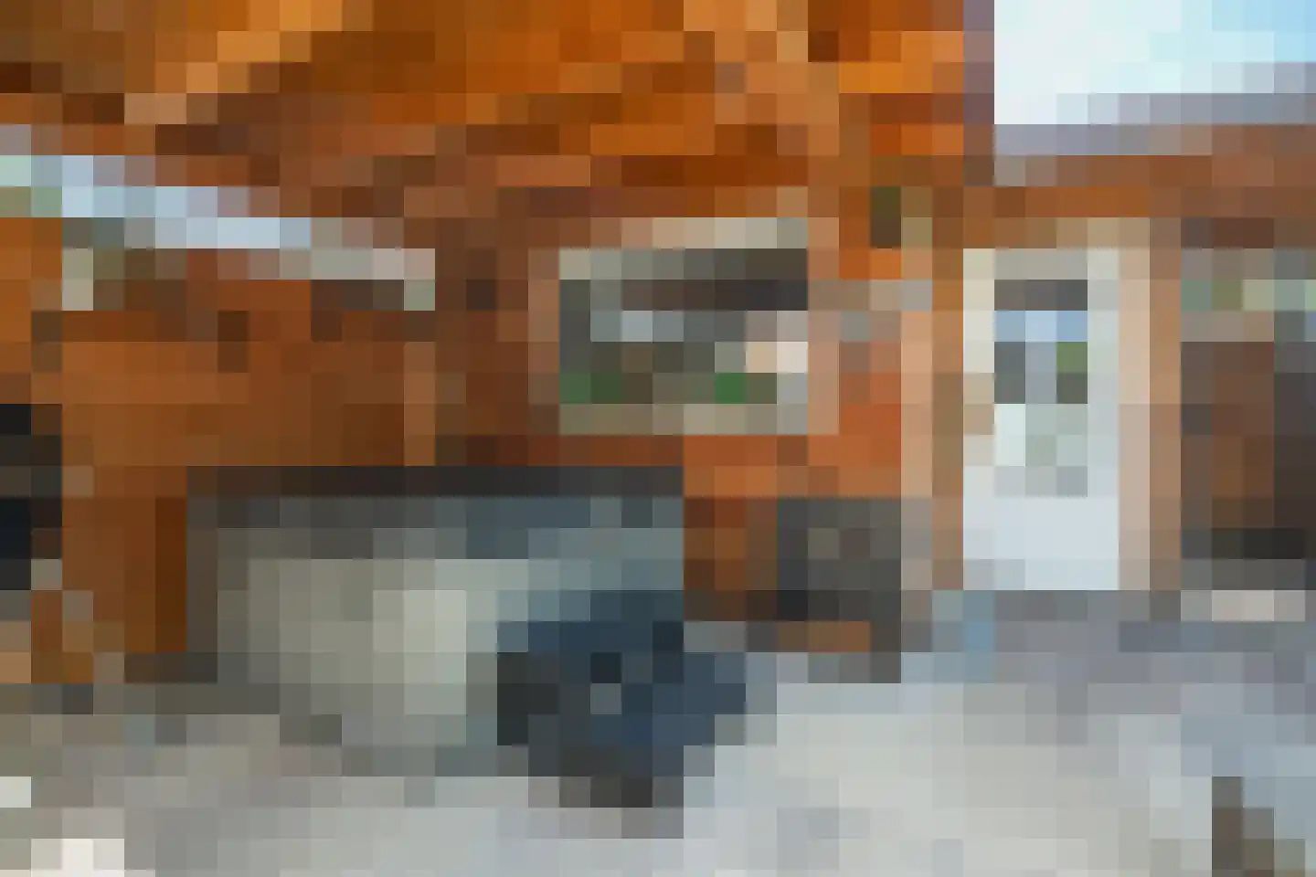 Groenling 27 Nieuwegein thumbnail 28