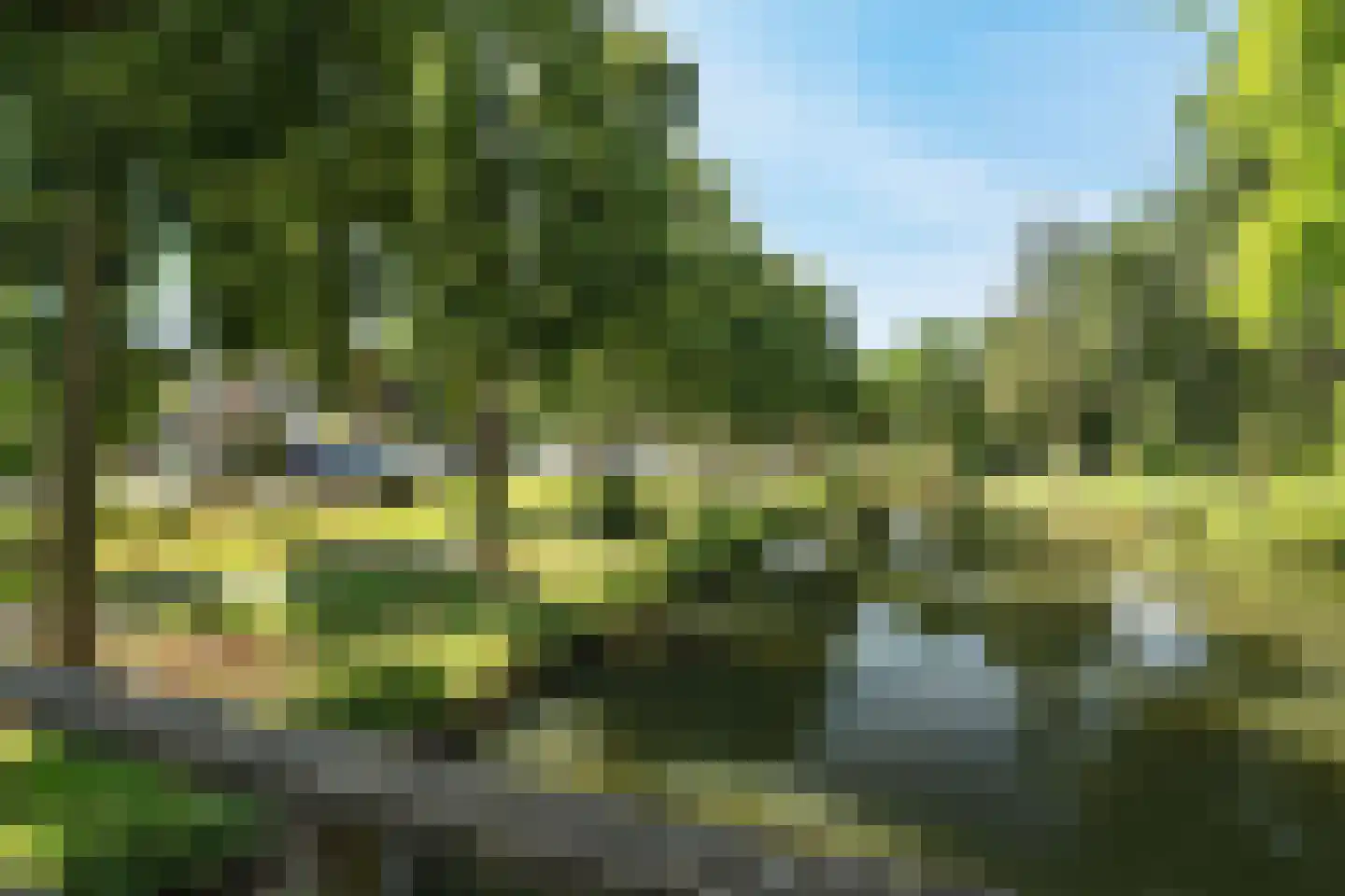 Groenling 27 Nieuwegein thumbnail 30