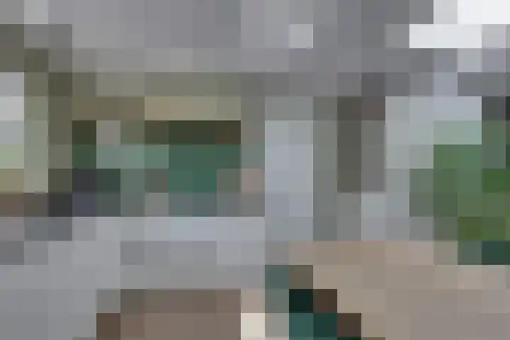 Groenling 27 Rijssen thumbnail 14