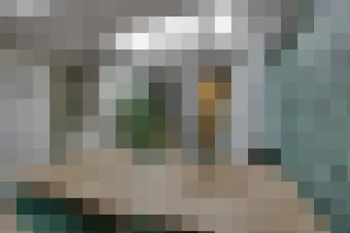 Groenling 27 Rijssen thumbnail 15