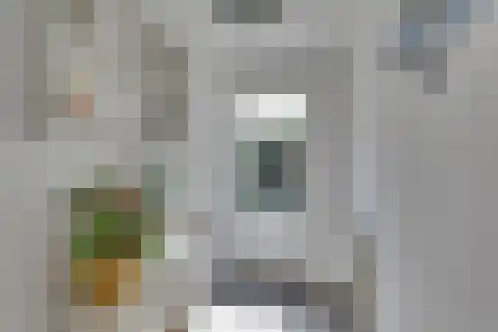 Groenling 27 Rijssen thumbnail 16