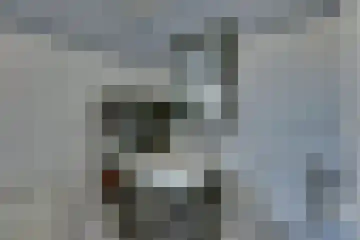 Groenling 27 Rijssen thumbnail 26