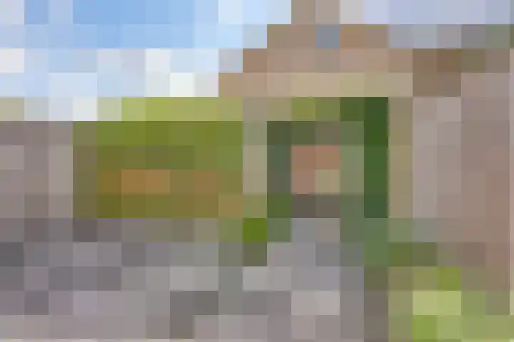 Groenling 27 Rijssen thumbnail 32