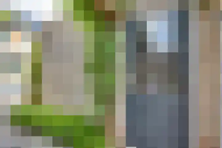 Groenling 27 Rijssen thumbnail 33