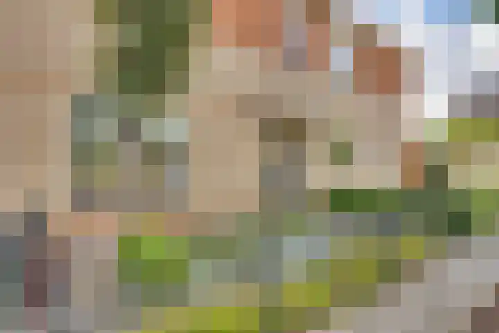 Groenling 27 Rijssen thumbnail 4