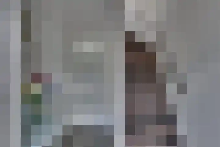 Groenling 27 Rijssen thumbnail 5