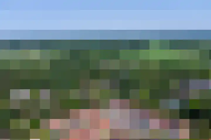 Groenling 31 Ermelo thumbnail 46