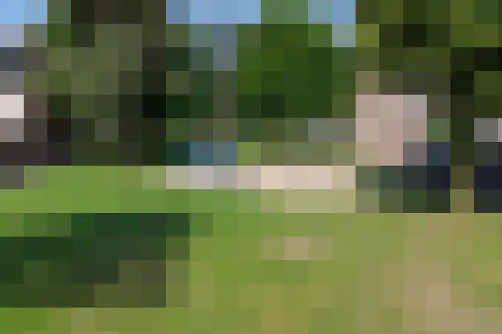 Groenling 31 Ermelo thumbnail 47