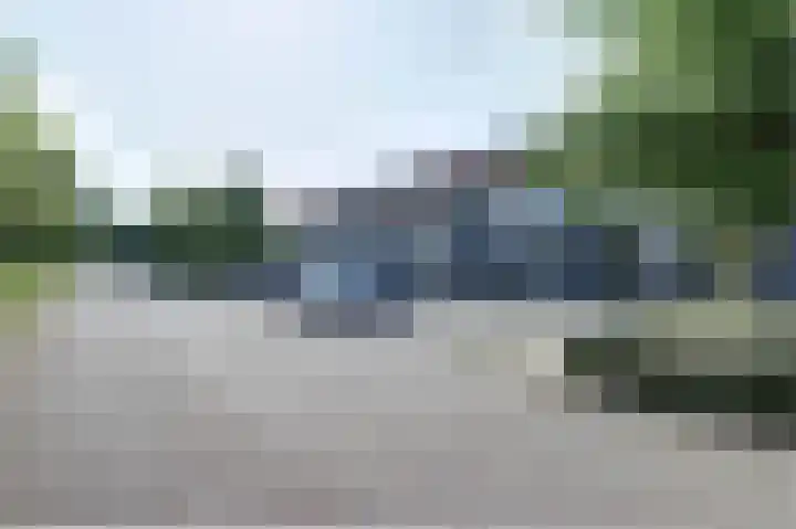 Groenling 31 Ermelo thumbnail 6