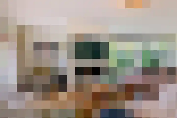 Groenling 35 Ouderkerk aan de Amstel thumbnail 11