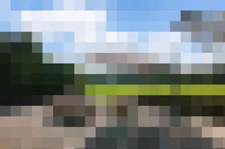 Groenling 35 Ouderkerk aan de Amstel thumbnail 18