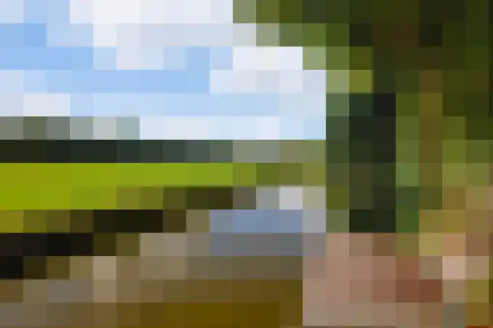 Groenling 35 Ouderkerk aan de Amstel thumbnail 19