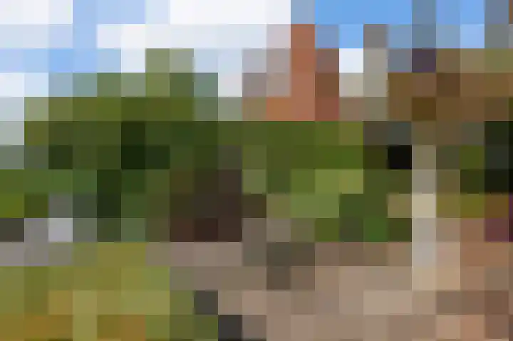 Groenling 35 Ouderkerk aan de Amstel thumbnail 20