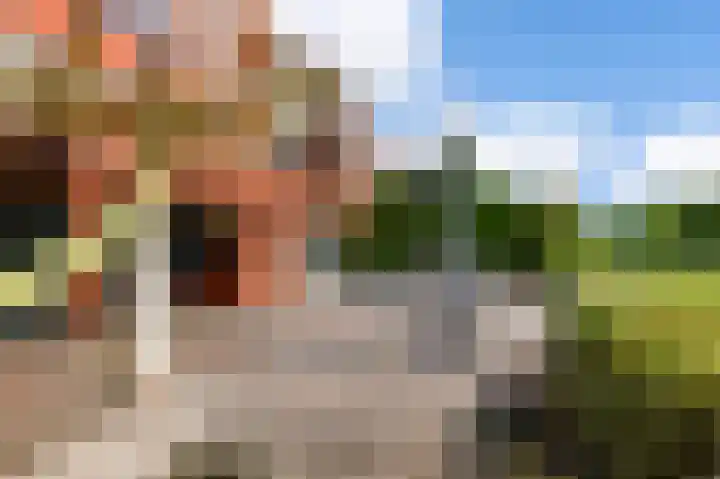 Groenling 35 Ouderkerk aan de Amstel thumbnail 23